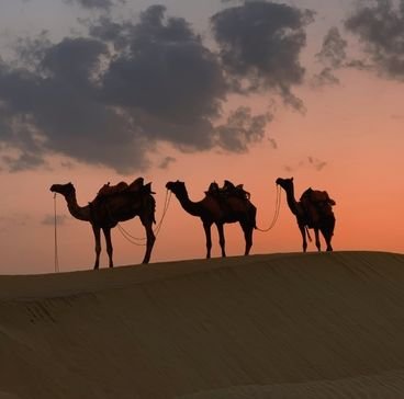 Royal Rajasthan Tours