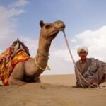 Royal Rajasthan Tours (31)