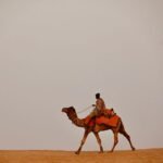 Royal Rajasthan Tours (32)